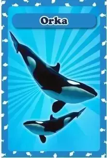 Karty Popup 3D - Zwierzęta morskie - Piętka
