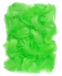 Piórka zielone 5-12cm 10g - Dalprint