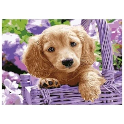 Mozaika diamentowa 5D - Pies 40x30cm - Titanum