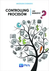 Controlling procesów. Jak wdrożyć? - Magdalena Chomuszko