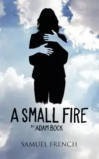 A Small Fire - Adam Bock