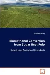 Biomethanol Conversion from Sugar Beet Pulp - Wang Quanzeng