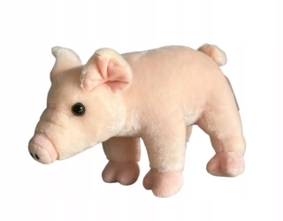 Maskotka Pluszowa Świnka Pluszak Prosiaczek Przytulanka