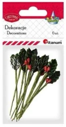 Gałązki ostrokrzewu 15x30mm 6szt - Titanum