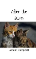 After the Storm - Amelia Campbell