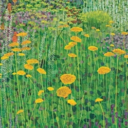 Karnet z kopertą Kosańce - Susan Entwistle