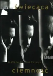 Świecąca ciemność - Leif Zern