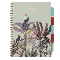 Kołozeszyt Pads A4/100K kratka Afryka pastel ziel - Strigo