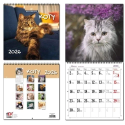 Kalendarz 2026 30x60 13 planszowy Koty - EV-Corp