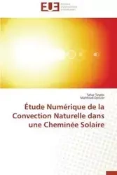 Étude numérique de la convection naturelle dans une cheminée solaire - Collectif