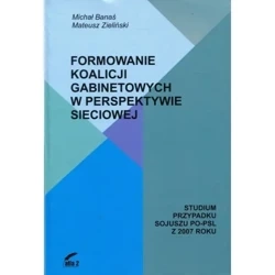 Formowanie koalicji gabinetowych w perspektywie sieciowej - MICHAŁ BANAŚ