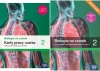 BIOLOGIA NA CZASIE 2 PODRĘCZNIK + KARTY PRACY ZAKRES PODSTAWOWY 2024 LO - Opracowanie zbiorowe
