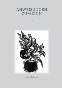 Anweisungen zum Sinn - Walter Machtemes