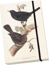 Notatnik ozdobny A5 STNOTE 90 Ptaki - Skona Ting