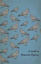 A Guide to Domestic Pigeons - With Chapters on Doves, Training and Their Habits - Anon