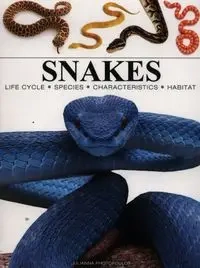 Snakes - Julianna Photopoulos