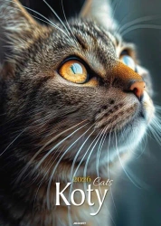 Kalendarz 2026 ścienny Koty - AVANTI