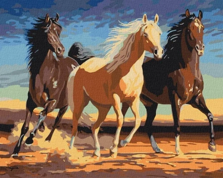 Malowanie po numerach - Stado 40x50cm - Ideyka