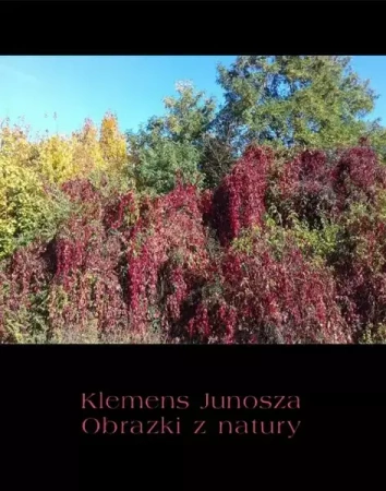 eBook Obrazki z natury - Klemens Junosza epub mobi