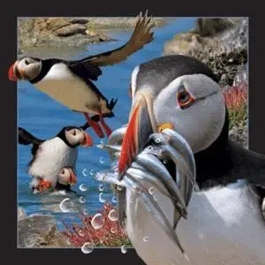 Magnes 3D Maskonur - Worth Keeping