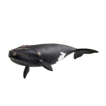 Wieloryb biskajski - SCHLEICH