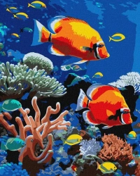 Malowanie po numerach - Jaskrawa rafa 40x50cm - Ideyka