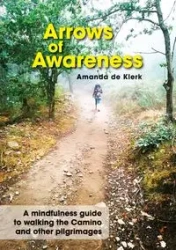 Arrows of Awareness - Amanda de Klerk