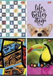 Zeszyt A4/32K linia podwójna dwukolor mix (15szt) - UNIPAP