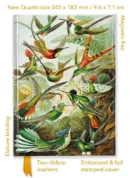 Notatnik quatro linia TW Kolibry Ernst Haeckel - Flame Tree