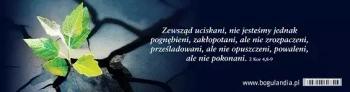 Zakładka do książki. Zewsząd uciskani, nie jesteśmy jednak pognębieni...
