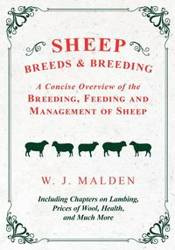 Sheep Breeds and Breeding - A Concise Overview of the Breeding, Feeding and Management of Sheep, Including Chapters on Lambing, Prices of Wool, Health, and Much More - Malden W. J.