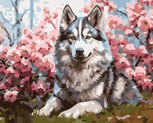 Malowanie po numerach 40x50 Pies - Koh-I-Noor