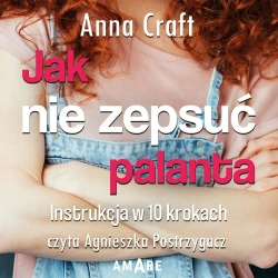 audiobook Jak nie zepsuć palanta. Instrukcja w 10 krokach - Anna Craft
