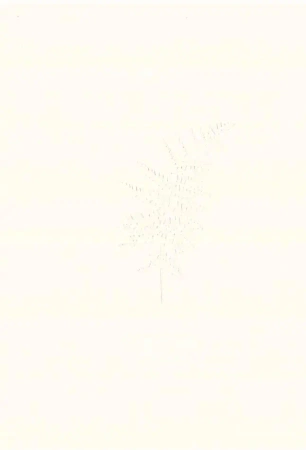 Kalcyt - Aleksandra Byrska