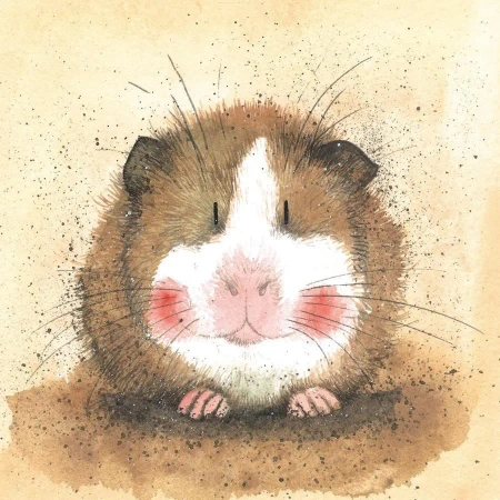 Karnet AC412 Świnka morska Gilbert - Alex Clark