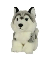 Pies husky 19cm pluszaki Dubi