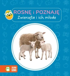 Rosnę i poznaję. Zwierzęta i ich młode - praca zbiorowa
