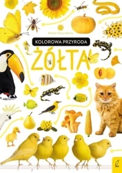 Młodzi przyrodnicy. Kolorowa przyroda. Żółta - Patrycja Zarawska