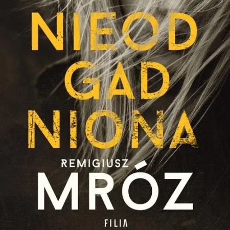 audiobook Nieodgadniona - Remigiusz Mróz