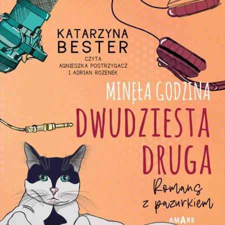 audiobook Minęła godzina dwudziesta druga. Romans z pazurkiem - Katarzyna Bester