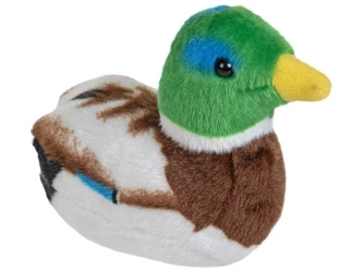 Maskotka Kaczka krzyżówka z dzwiękiem - Ranok-Creative