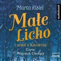 Małe Licho i anioł z kamienia audiobook - Marta Kisiel