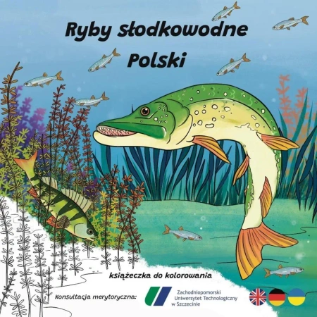 Ryby słodkowodne w Polsce - książeczka do kolorowa - Wojciech Sawicki, Ksenia Potępa