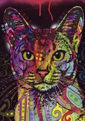 Puzzle 2000 elementów. Kot abisyński