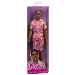 Barbie Fashionistas. Ken Stylowy HYT99 - Mattel