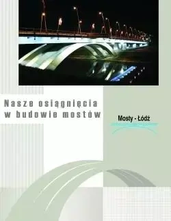 Nasze osiągnięcia w budowie mostów - Patera Zygmunt