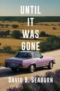 Until It Was Gone - David B. Seaburn