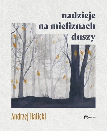 Nadzieje na mieliznach duszy - Andrzej Halicki