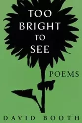 Too Bright to See - David Booth