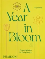 Year in Bloom - Bellamy
